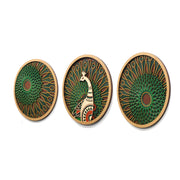 Peacock Mandala - Set of 3